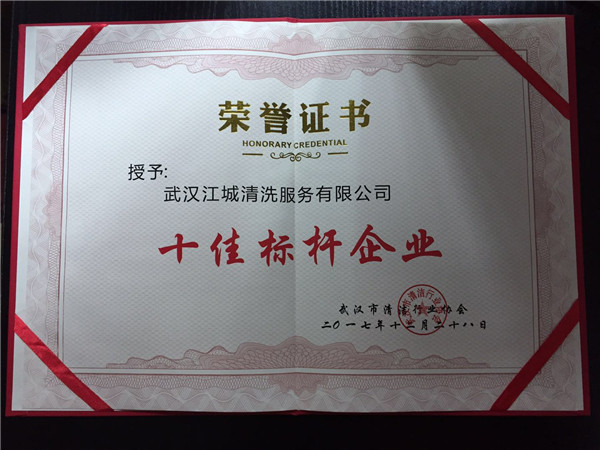 十佳標(biāo)桿企業(yè)